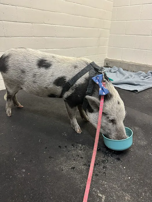 Large Animal Hospital Picture 2