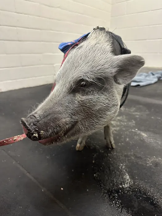 Large Animal Hospital Picture 1