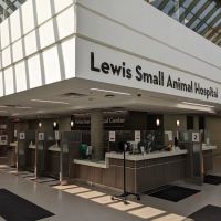 Lewis Small Animal Hospital ico
