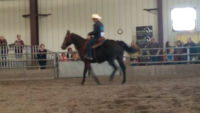 Leatherdale Equine Center Picture 1
