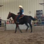 Leatherdale Equine Center