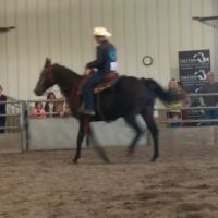 Leatherdale Equine Center ico