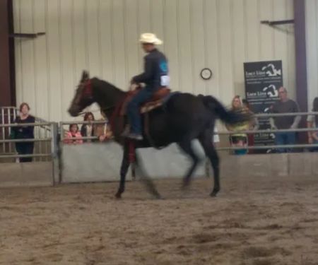 Leatherdale Equine Center