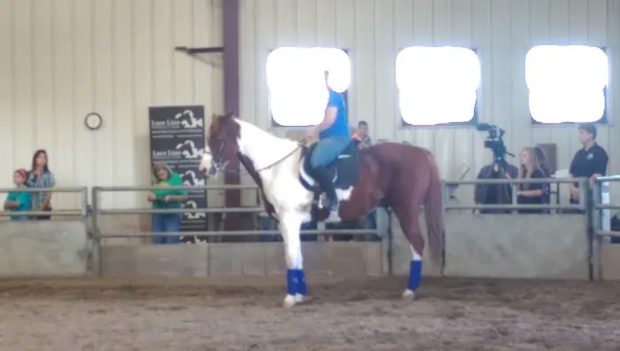 Leatherdale Equine Center Picture 6