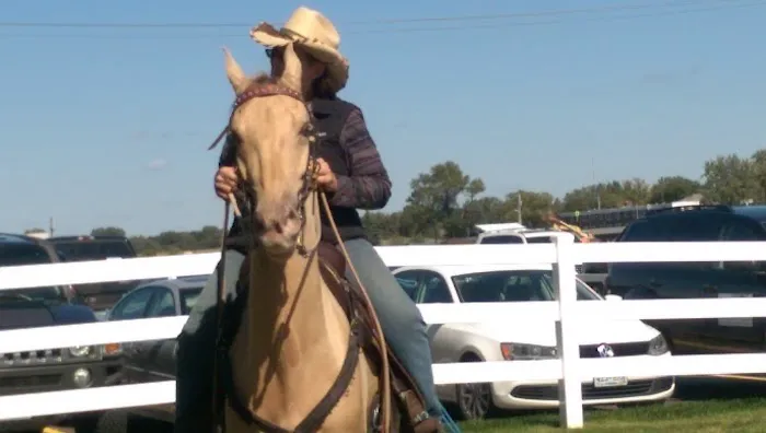 Leatherdale Equine Center Picture 5