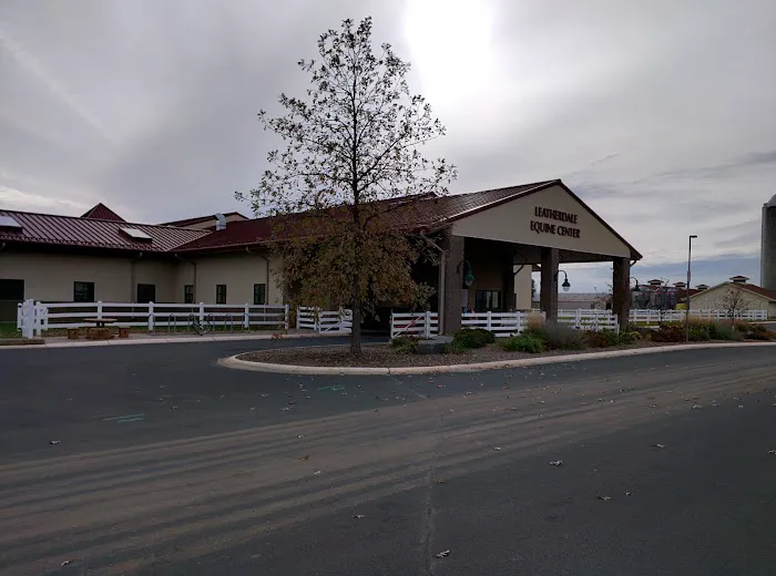 Leatherdale Equine Center Picture 8