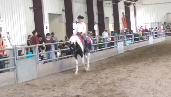 Leatherdale Equine Center Picture 9