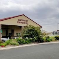 Piper Equine Hospital ico