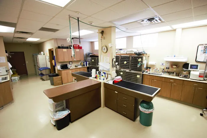 Camden Pet Hospital Picture 1