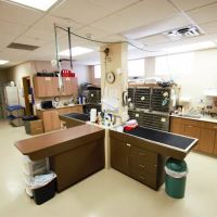 Camden Pet Hospital ico