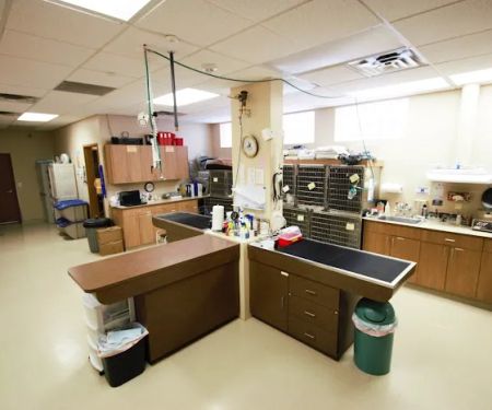 Camden Pet Hospital