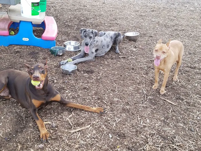 Camden Pet Hospital Picture 7