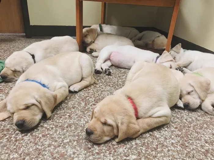 Ark Pet Hospital Picture 2