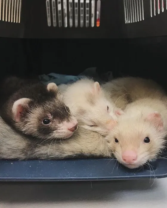 Ark Pet Hospital Picture 1