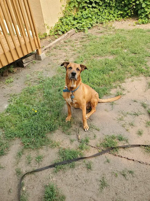 Ark Pet Hospital Picture 6