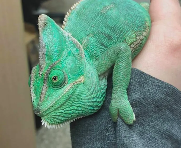 Ark Pet Hospital Picture 8