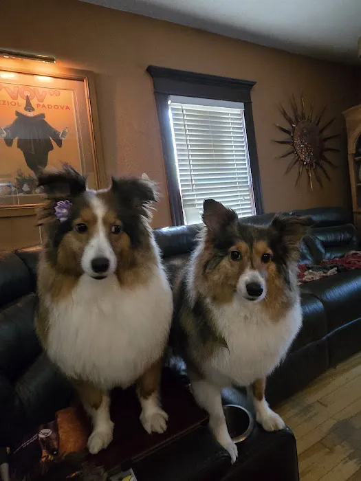 All Pets Animal Hospital Picture 7