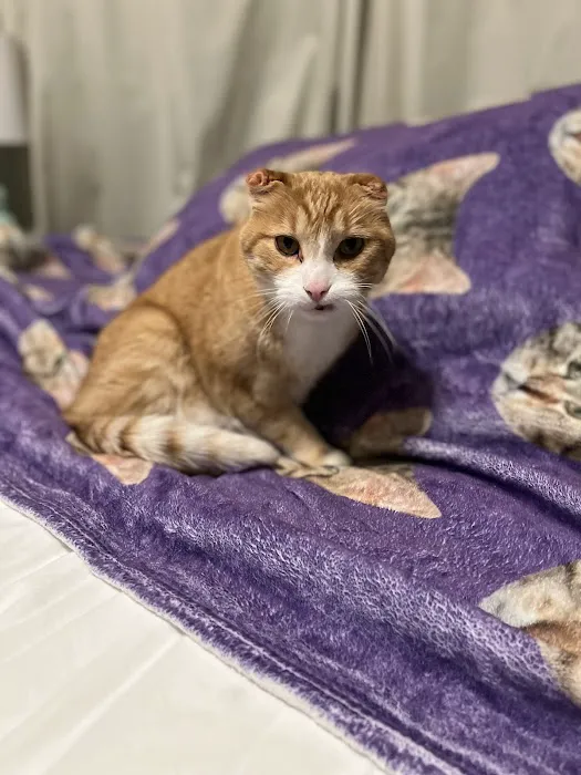 Vetco Total Care Animal Hospital Picture 4
