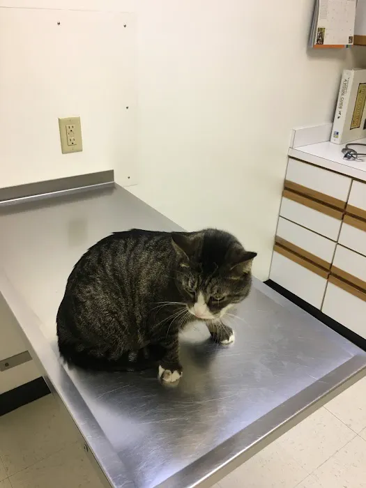 Broadway Robbinsdale Animal Hospital LTD Picture 1