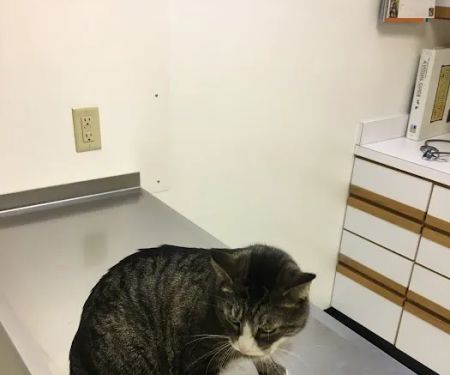 Broadway Robbinsdale Animal Hospital LTD