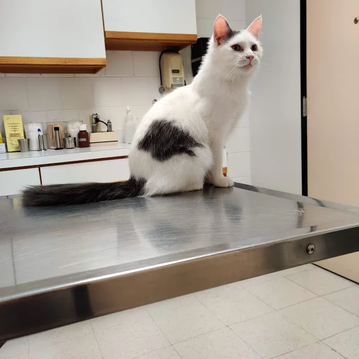 Broadway Robbinsdale Animal Hospital LTD Picture 10