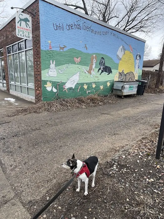 Nokomis Pet Clinic Picture 2