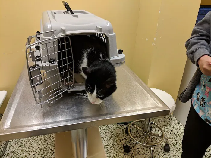 Nokomis Pet Clinic Picture 6