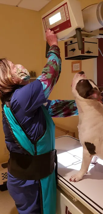 Nokomis Pet Clinic Picture 8