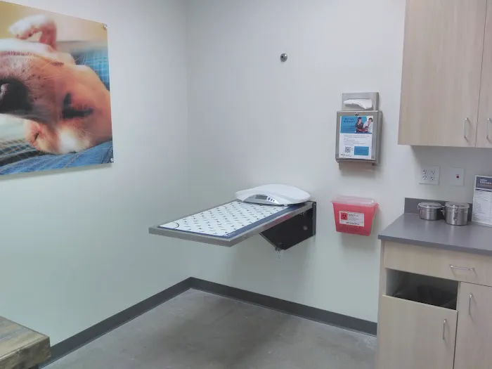 Vetco Total Care Animal Hospital Picture 4