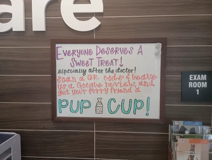 Vetco Total Care Animal Hospital Picture 8
