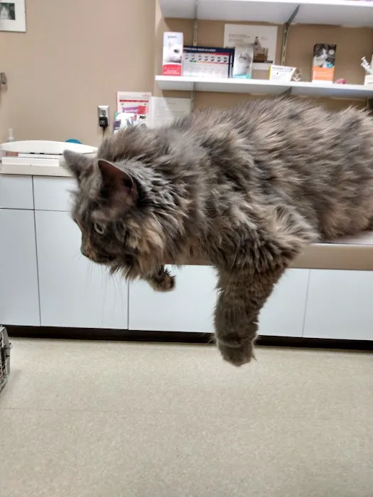 Midway Animal Hospital Picture 4