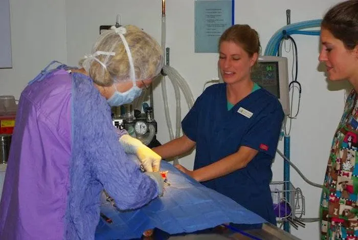 Midway Animal Hospital Picture 7