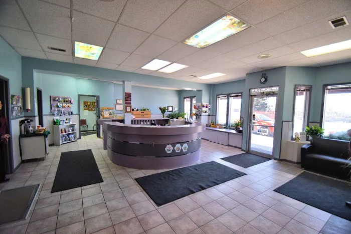 Animal Medical Clinic Picture 2
