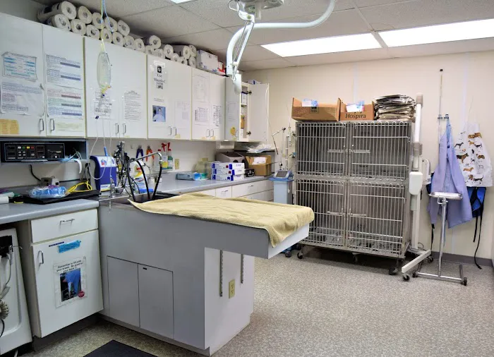 Animal Medical Clinic Picture 3