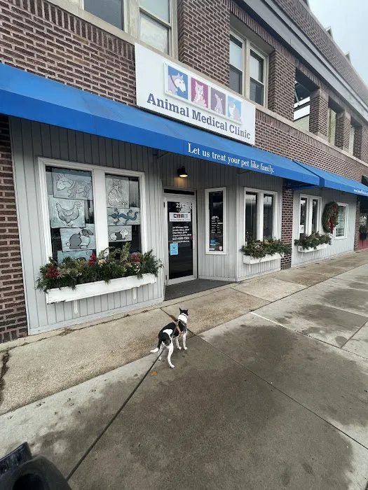Animal Medical Clinic Picture 5