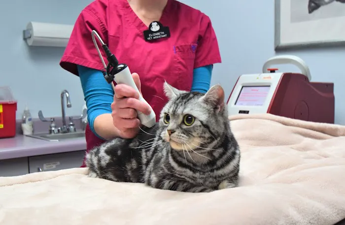 Animal Medical Clinic Picture 4