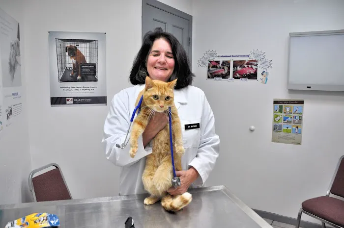 Animal Medical Clinic Picture 7