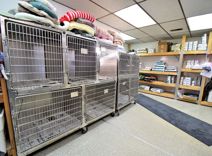 Animal Medical Clinic Picture 6