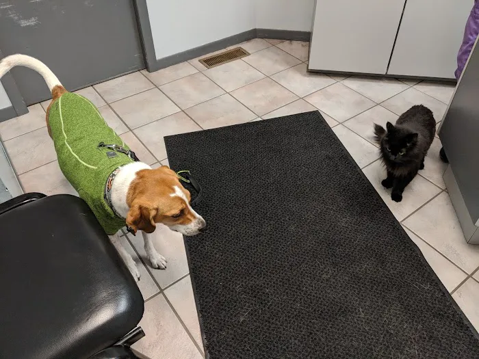 Animal Medical Clinic Picture 8