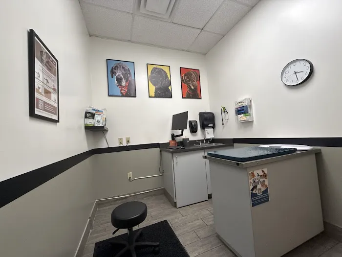 All Paws Animal Hospital Picture 1