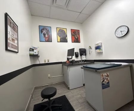 All Paws Animal Hospital