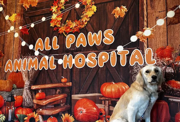 All Paws Animal Hospital Picture 5
