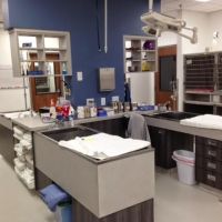 Oak Knoll Animal Hospital: Earl Tracy DVM ico