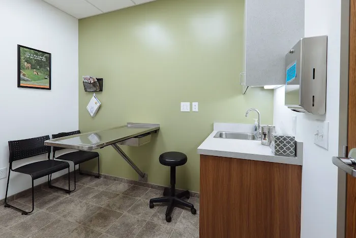 Oak Knoll Animal Hospital Picture 3