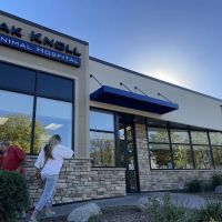 Oak Knoll Animal Hospital ico