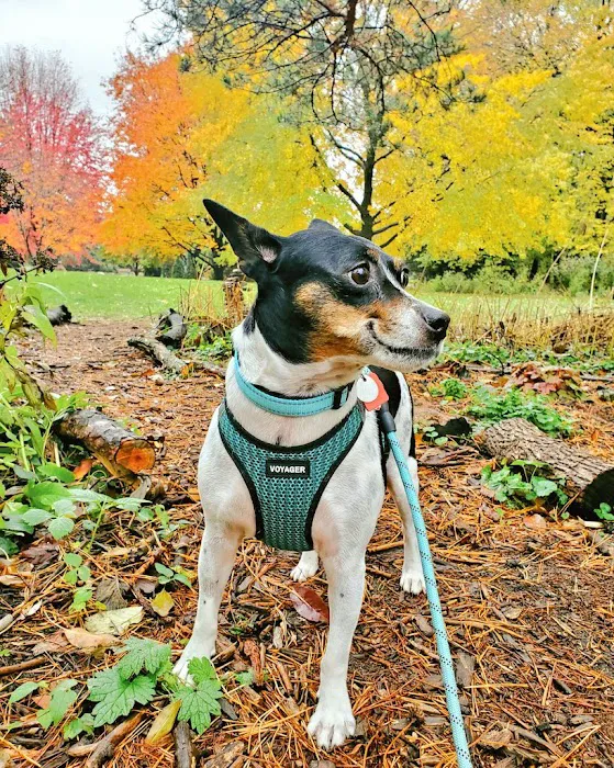 Oak Knoll Animal Hospital Picture 8