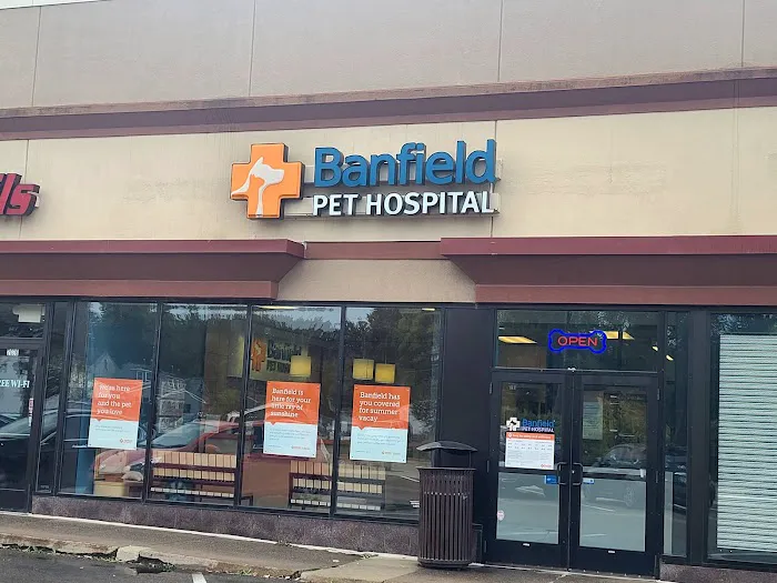 Banfield Pet Hospital Picture 5
