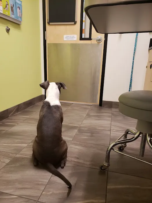 Banfield Pet Hospital Picture 4