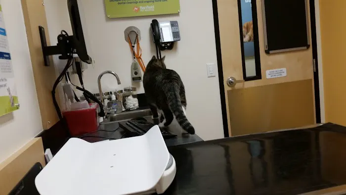 Banfield Pet Hospital Picture 7