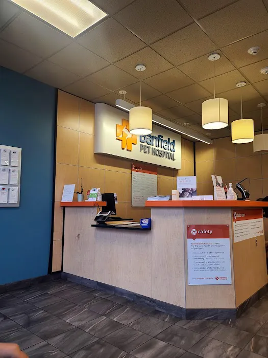 Banfield Pet Hospital Picture 9